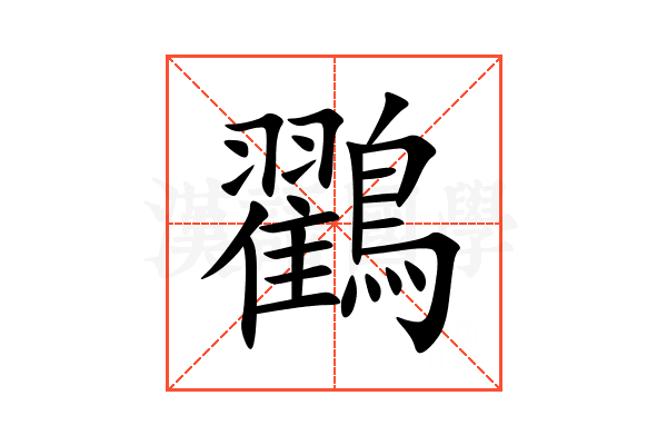 鸐